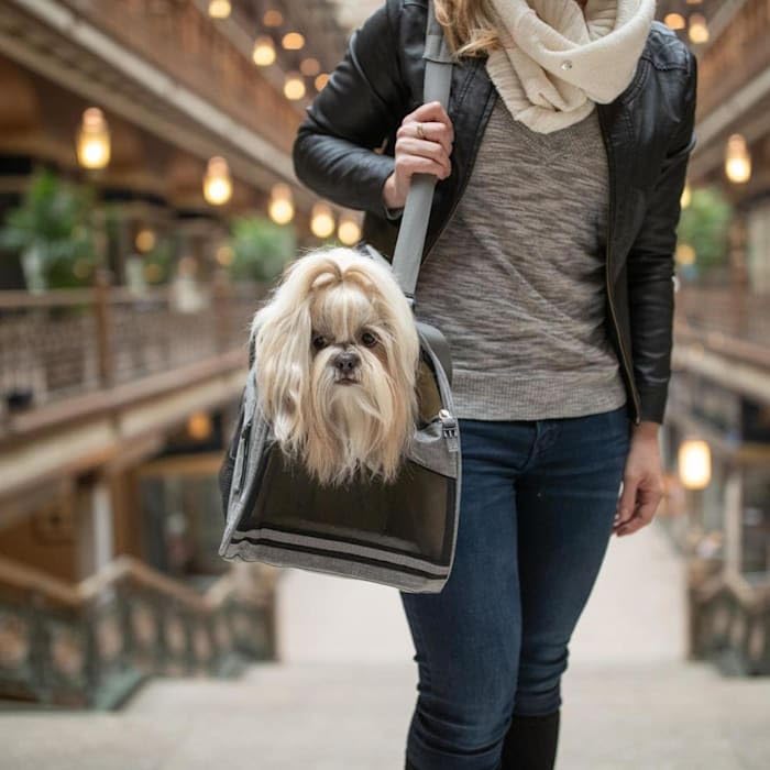 Coastal Pet Bergan Comfort Carrier - Safe, Comfortable Dog & Cat Travel Carrier - Airline Friendly Soft Pet Carrier - Breathable Carrier For Pet Owners - Heather Grey, 19' X 10' X 13'