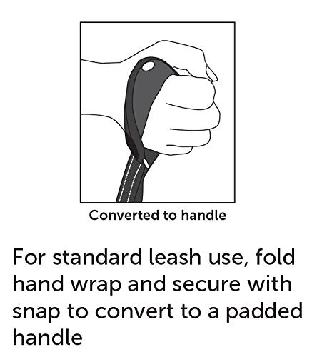 Petsafe Sport Leash, Durable Nylon Leash With Unique Padded Hand Wrap Handle To Help Keep Hands Free For Running Or Walking, For