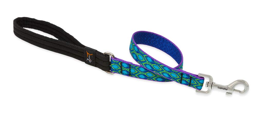 Lupinepet Originals 3/4' Rain Song 2-Foot Traffic Lead/Leash For Medium And Larger Dogs