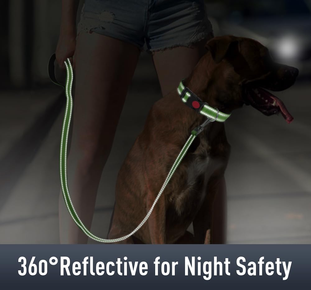 Erbine Airtag Dog Collar With Airtag Holder For Medium Dogs, Reflective, Soft Padded & Safety Locking Buckle, Nylon Pet Collars