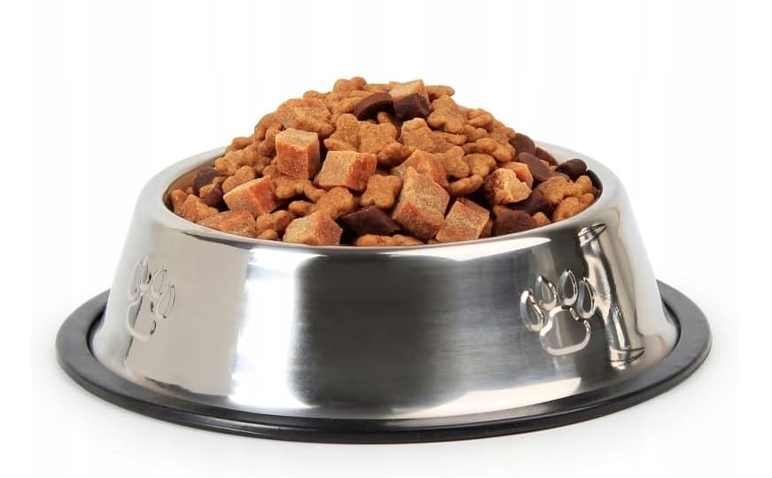Fycan Stainless Steel Dog Bowls With NonSlip Rubber Base, Food And Water, Stackable Feeder Bowl And Water Bowl For Small, Stora