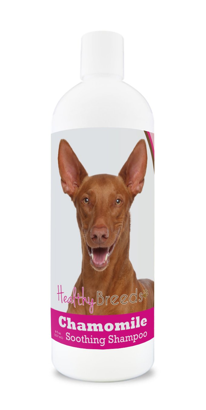 Healthy Breeds Pharaoh Hound Chamomile Soothing Dog Shampoo 8 oz