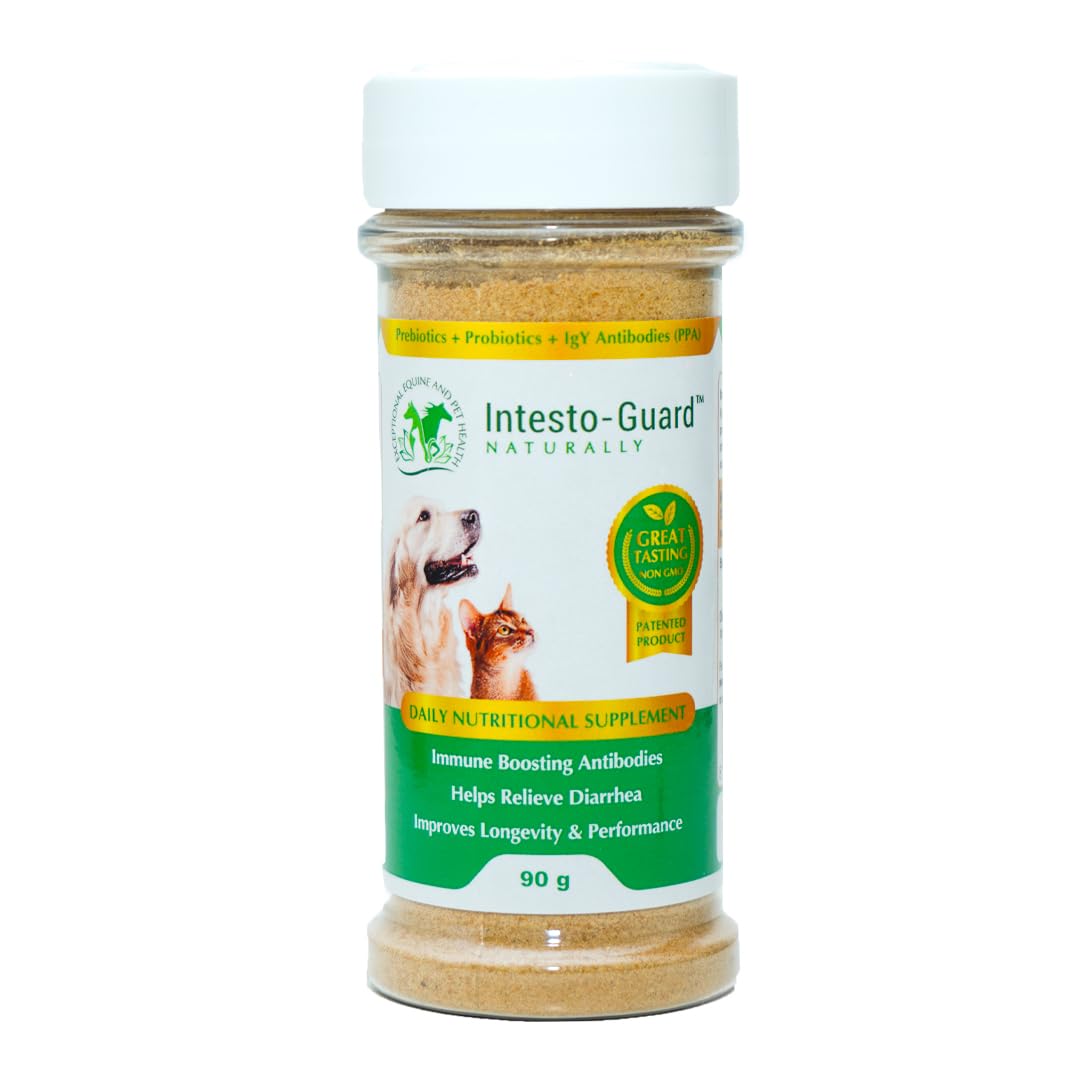 Powder Probiotic for Dogs, Prebiotic for Puppies, No Animal By-Products, 2-Gram Scoop Contains 1.5 Billion, Digestive Health, Gu