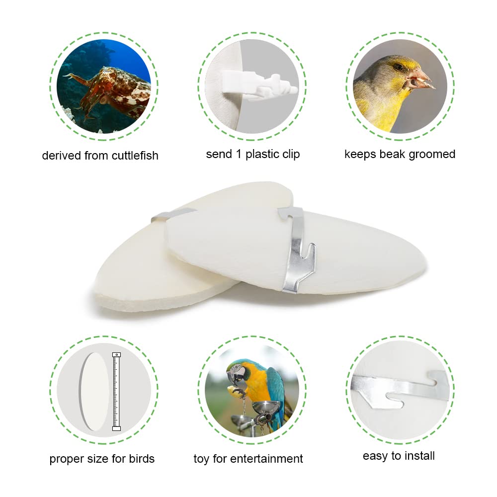 Jmxus 5-5.5 Bird Cuttlebone for Parakeets, Cuddle Bone with Metal Holder, Cuttlefish Bone for Sharp Beaks, Natural Birds Calciu