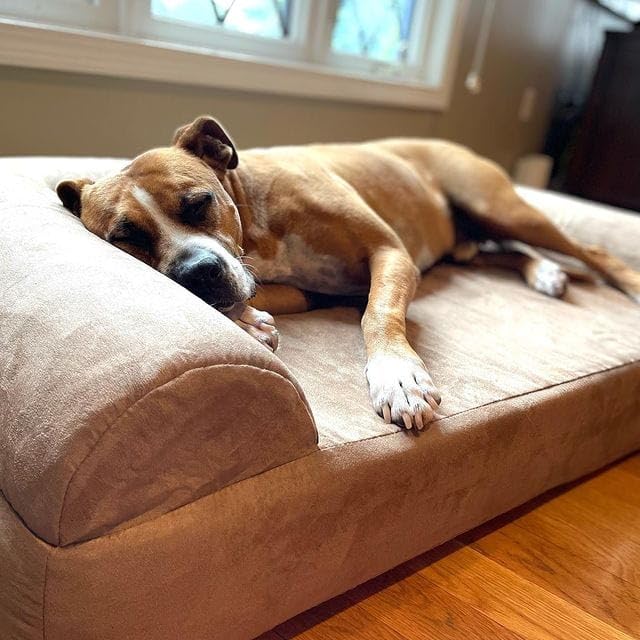 Barker Beds Sofa Dog Bed For Large Sized Dogs (Large, Khaki) - 7 Thick Soft & Comfortable Orthopedic Cushion - Durable & Washa