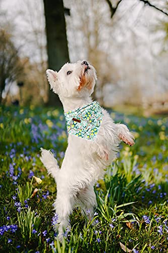 Lionheart Glory Plaid Dog Bandana 1 Pack Washable Soft Cotton Lemon Flower Bibs Scarf, Adjustable Kerchief Square Dog Bandanas F
