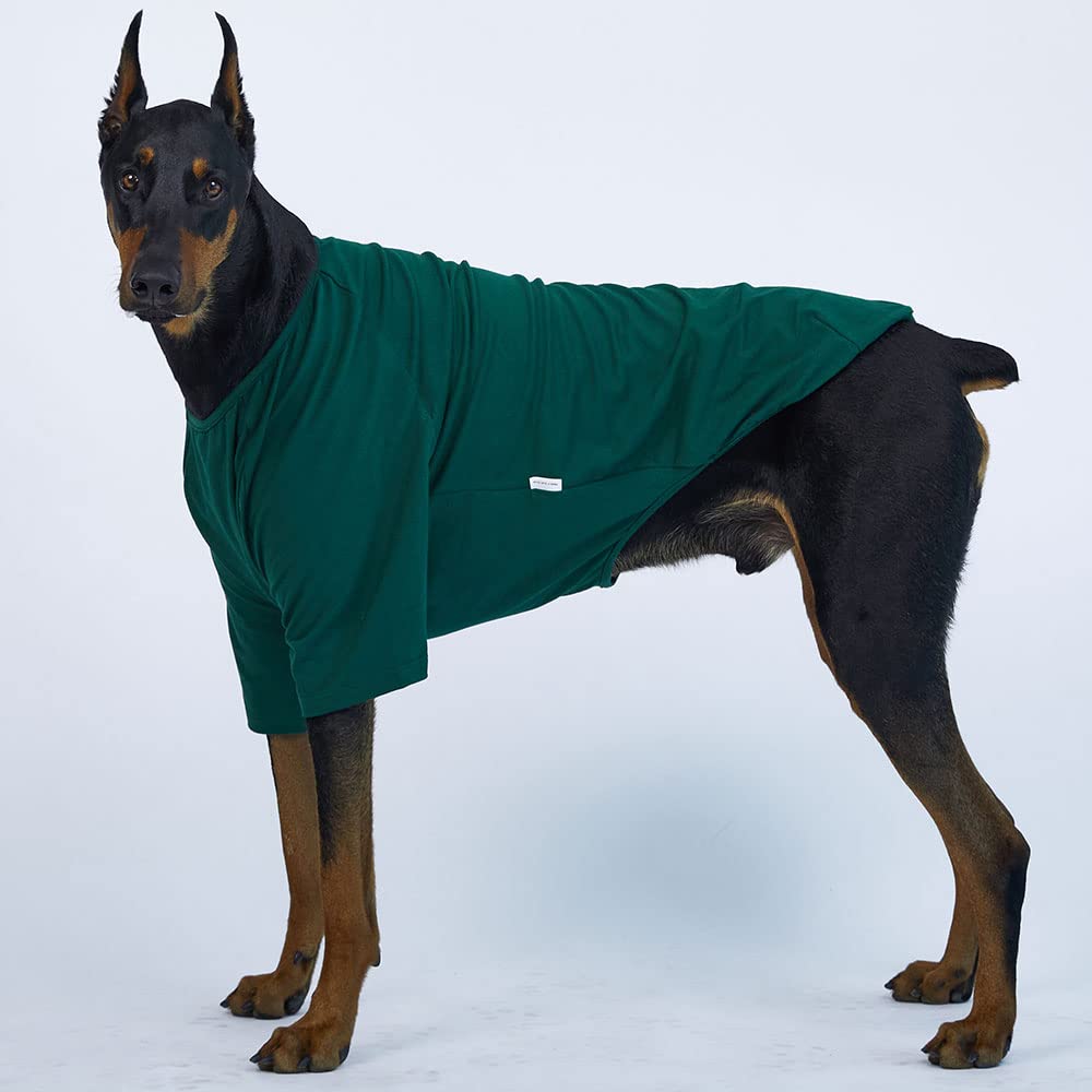 Lucky Petter Dog Shirt For Small Dogs Plain T-Shirts Soft Breathable Dog Cotton Shirt Pet Clothes (X-Large, Green)