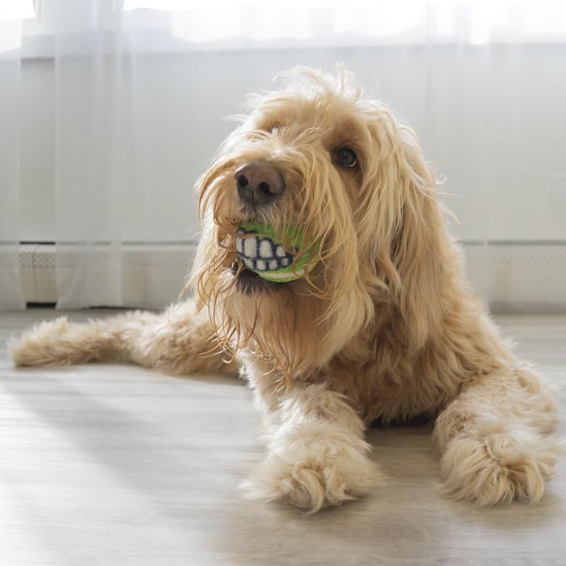 KONG Grinz by Rogz Variety Packs - Durable Bouncy Balls with Grinz Teeth (Large 2 Pack)