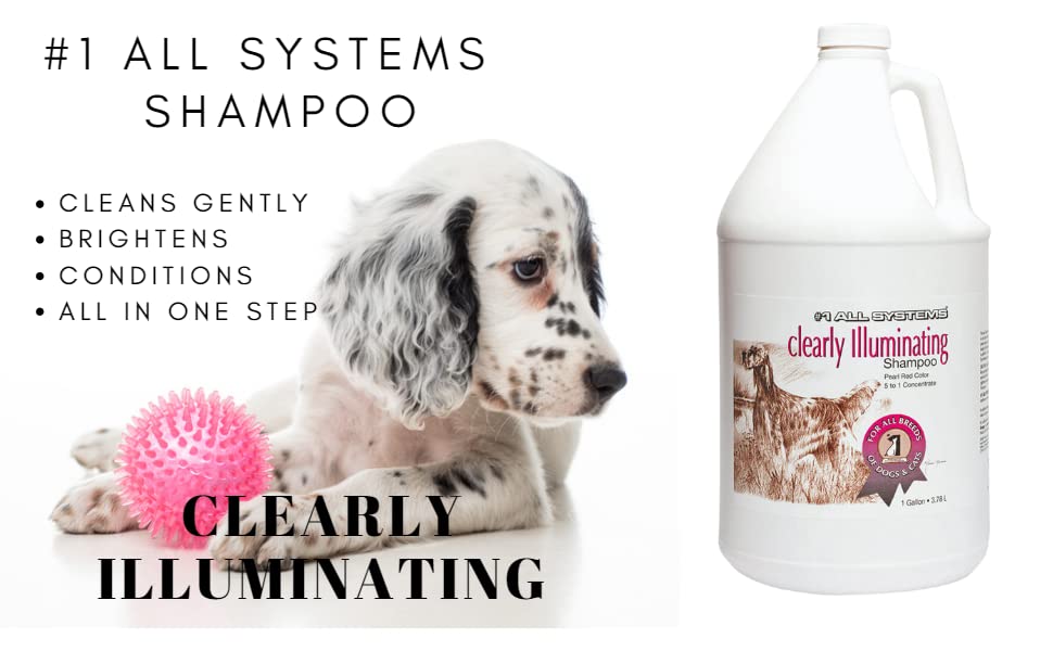 #1 All Systems Clearly Illuminating Shampoo Gallon