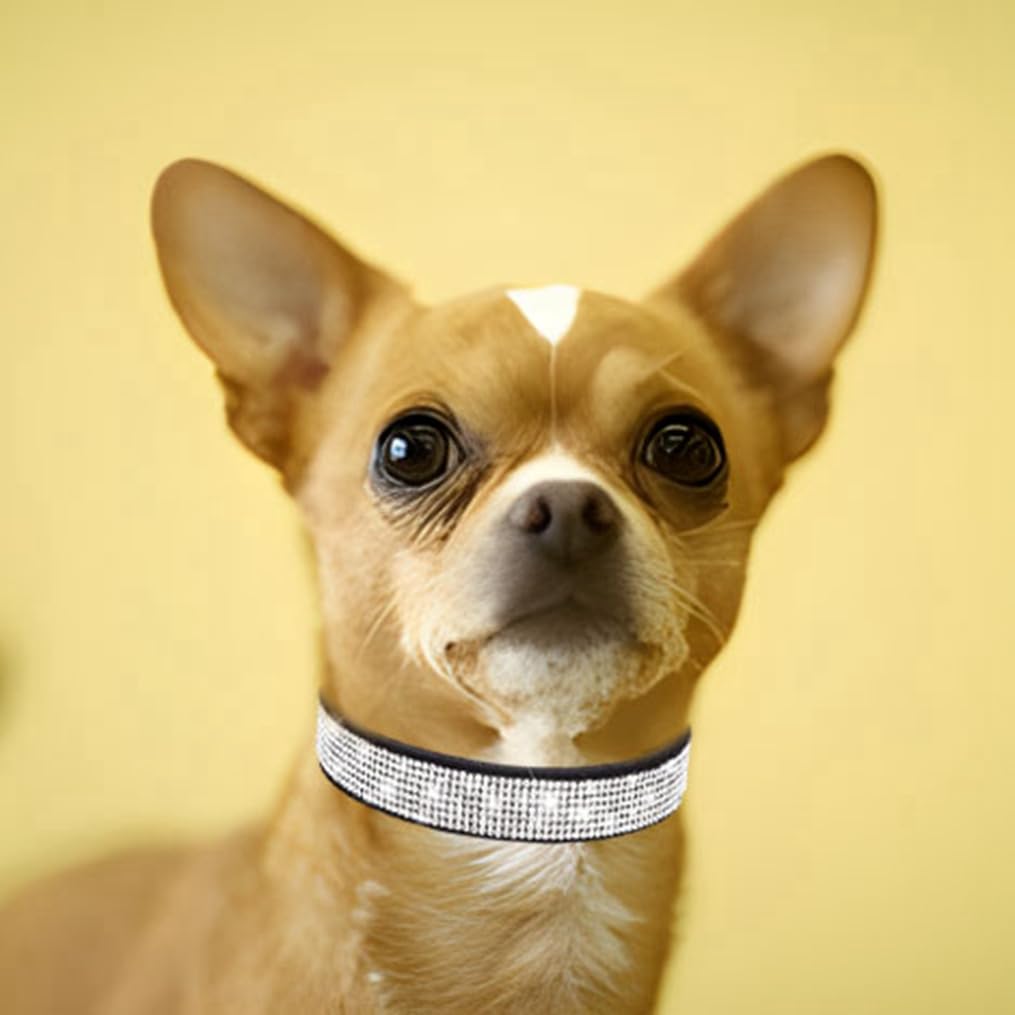 Bling Dog Collar, Rhinestone Dog Collars Cute Diamond Jewel Sparkle Fancy Leather Cat Pet Collar For Xxs Xsmall Small Medium Lar