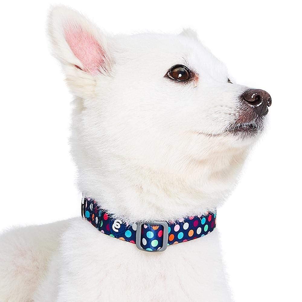 Blueberry Pet Essentials Rainbow Polka Dots Adjustable Dog Collar, Large, Neck 18''-26''