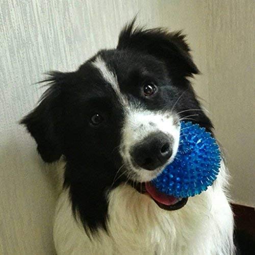 PSK PET MART Rubber Squeaky Spike Pet Dog Chew Toy Ball (Blue) (Pack of 1)