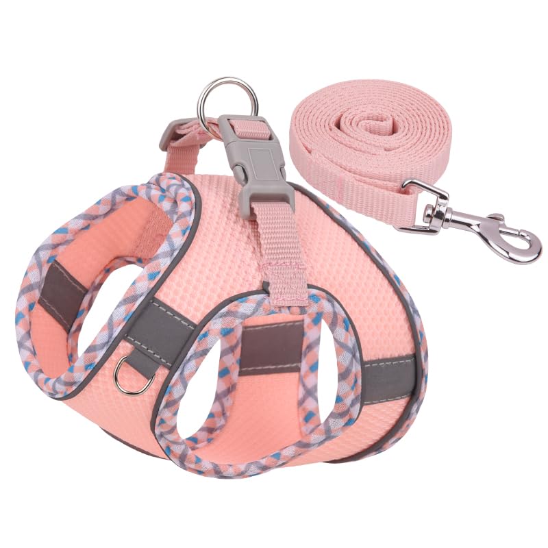 Dog Harness And Leash Set, No Pull Adjustable Reflective Pet Harness For Small Medium Dogs, Easy Walk Step In Vest Harness Outdo