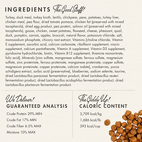 Fromm Four Star Grain Free Dry Dog Food, Game Bird Recipe, 4-Pound Bag