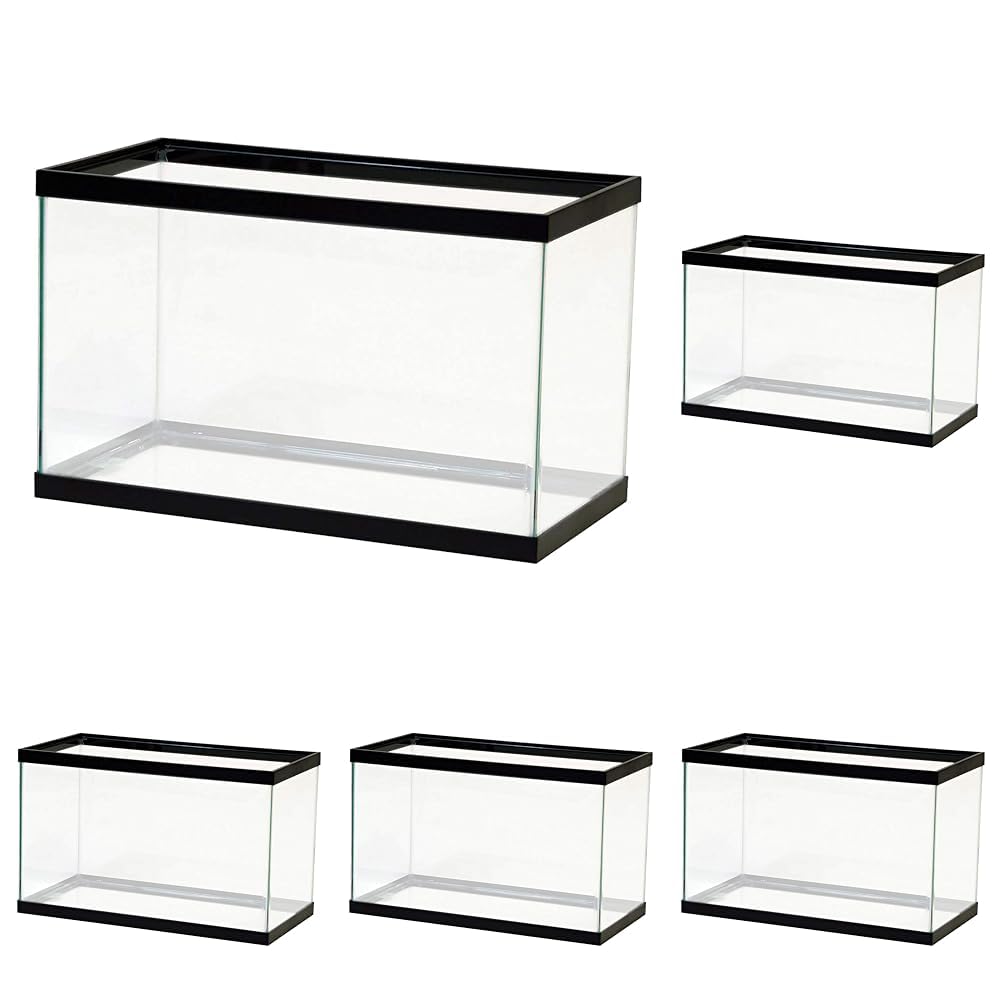 Aqueon Standard Glass 10 Gallon Rectangular Tank For Aquariums & Terrariums