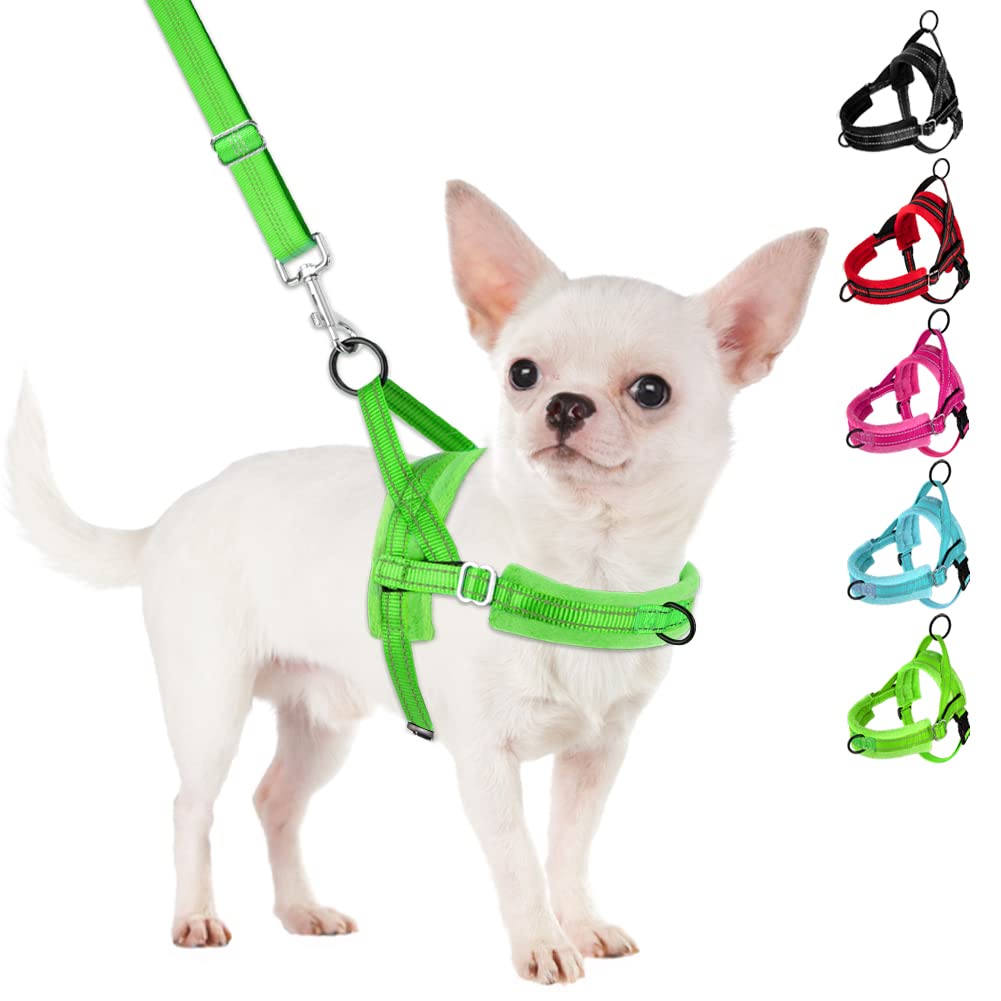 Slowton No Pull Small Dog Harness And Leash Set, Puppy Soft Vest Harness Neck & Chest Adjustable, Reflective Lightweight Harness & Anti-Twist Pet Lead Combo For Small Medium Dogs (G-Front Clip,Xxs)