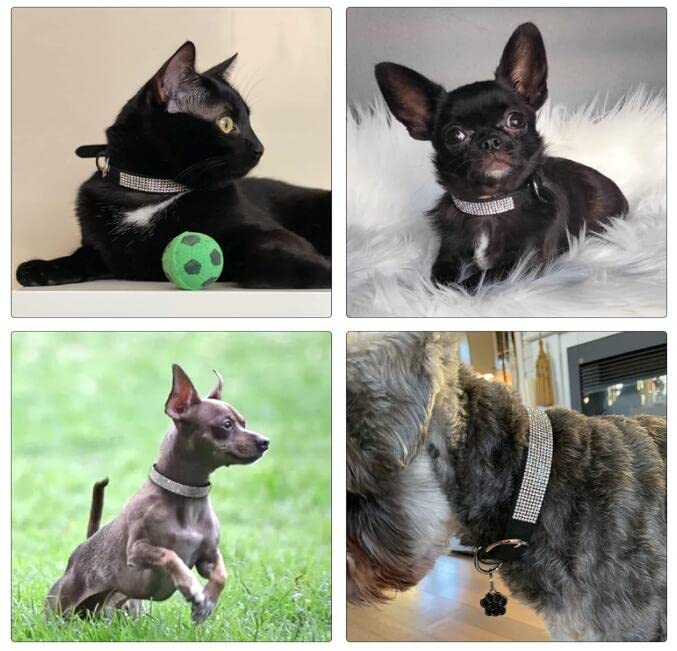 Small Dog Collar With Rhinestone Crystal Diamond Colorful Bling Girl Cat Collars Pink M