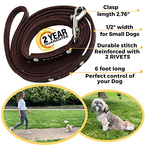 Adityna - Premium Leather Dog Leash - 6 Ft, Heavy-Duty, Soft & Strong For Small/Medium Dogs - Perfect For Walking, Training, Hik