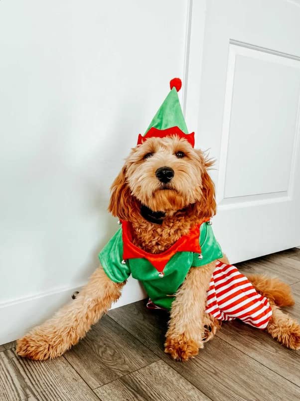 Midlee Dog Elf Costume (Medium)