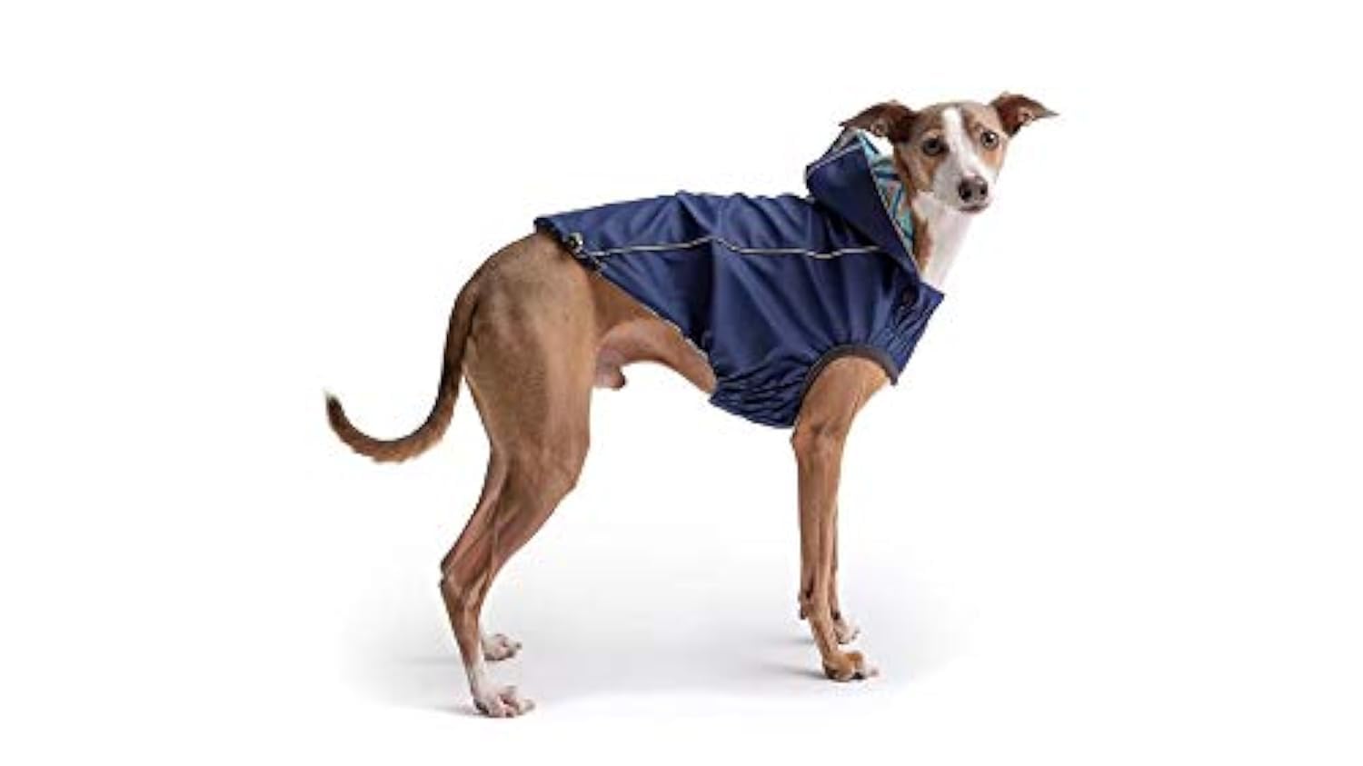 Gf Pet Navy Reversible Elasto-Fit Dog Raincoat, X-Large