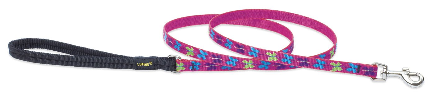 Lupinepet Originals 1/2' Wing It 4-Foot Padded Handle Leash For Small Pets
