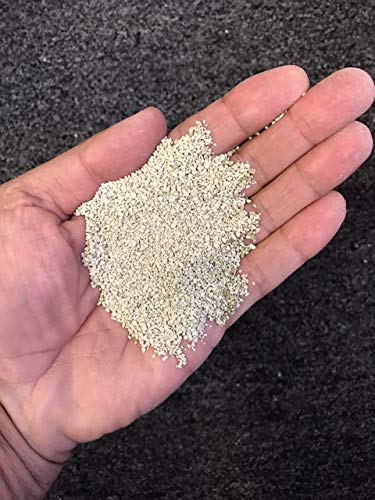 BioFill Pet Deodorizer Granular Infill for Artificial Grass Turf, All Natural Dog Urine Neutralizer, Outdoor Use, 5 Gallon Pail