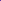 Christmas Pet and Dog Bandana Screen Printed, &quot;Snow Cute&quot; Purple Small