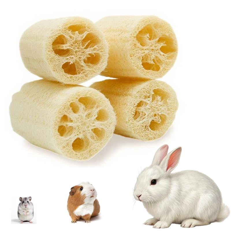 EFYUE 4Pcs Bunny Chew Toys for Rabbit, Organic Natural Loofah Toys.Suitable for Small Animals Such as Rabbits, Guinea Pigs and H