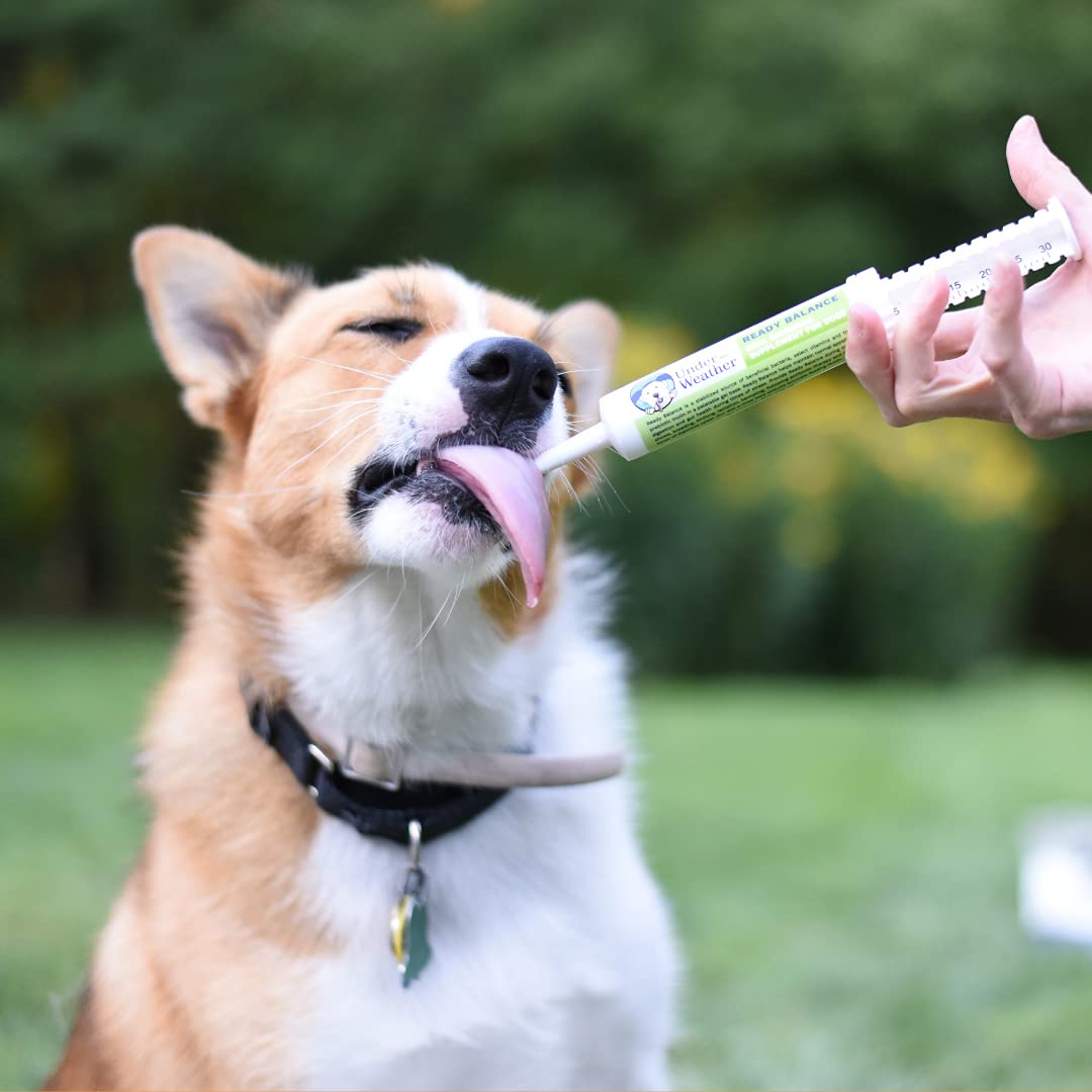 Under the Weather Ready Balance Oral Microbial Supplement - 30 grams - Model 0100005.030