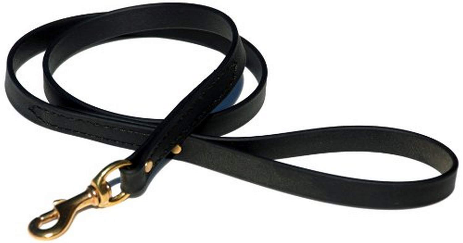 Ray Allen Mfg Signature K9 Biothane Leash, 4-Feet x 3/4-Inch, Black