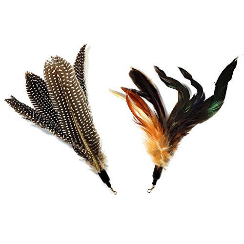 Pet Fit For Life 2 Feather Teaser And Exerciser For Cat And Kitten - Cat Toy Interactive Cat Wand