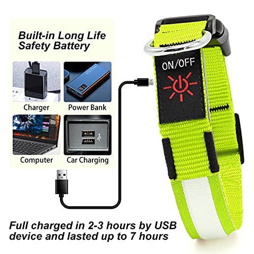 Yfbrite Ultra Light Usb Rechargeable Led Dog Collar - Adjustable Light Up Dog Collar - Waterproof Dog Collar - Flashing Dog Collar Visiblity & Safety For Your Dogs (Green, Small)