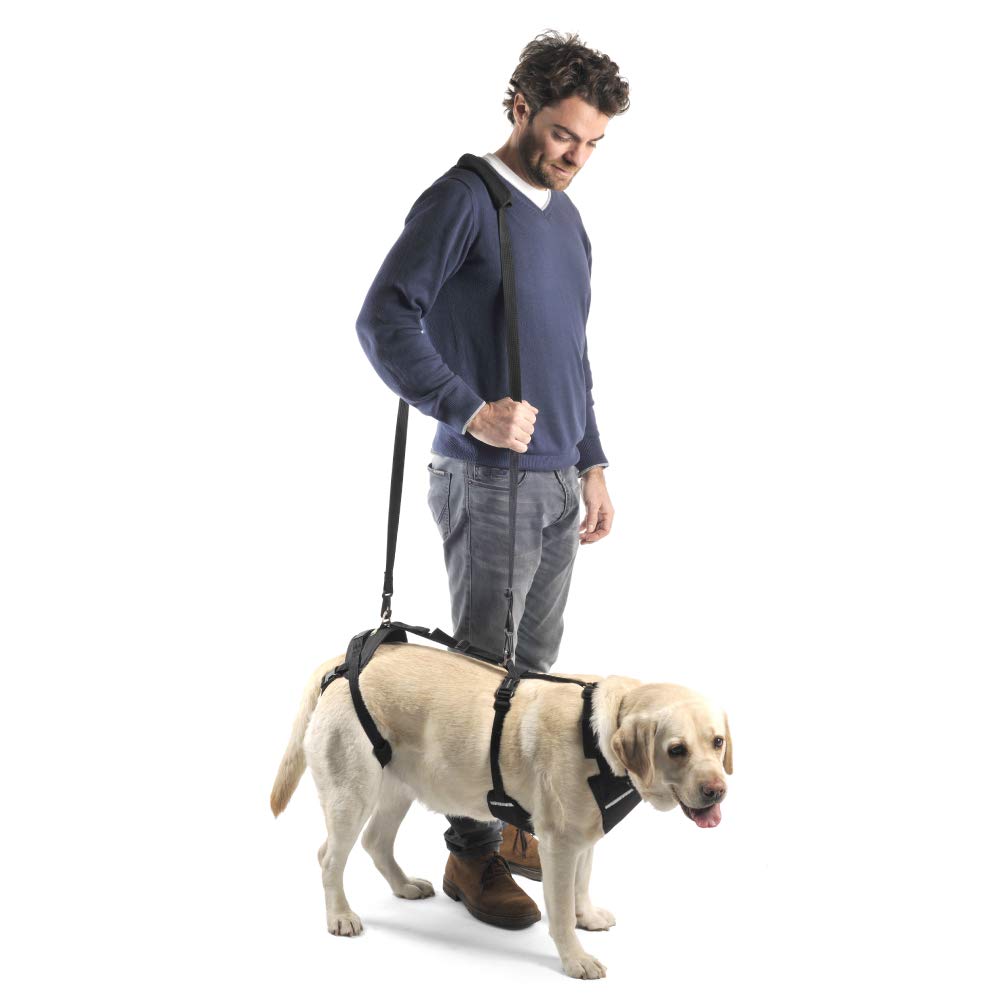 Ortocanis - Full-Body Dog Harness For Fore And Hind Support. Size S