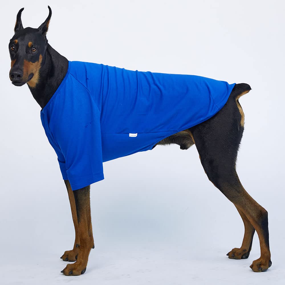 Lucky Petter Dog Shirt For Small Dogs Plain T-Shirts Soft Breathable Dog Cotton Shirt Pet Clothes (3X-Large, Blue)