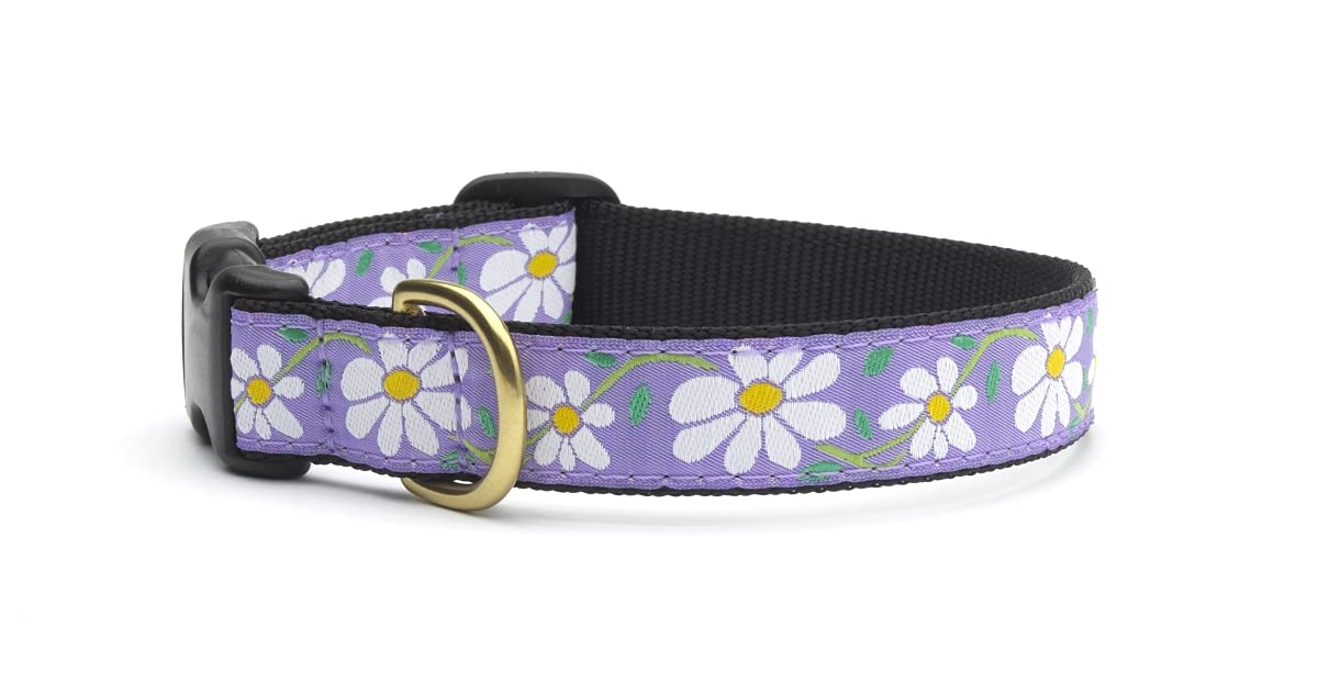 Up Country Daisy Pattern (Daisy Dog Collar, Small (9 To 15 Inches) 1 Inch Wide Width)