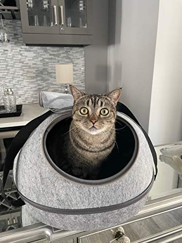 Spot Doc & Phoebe’S 3-In-1 Sleep & Go Cat Carrier | Portable Pet Travel Bag For Cats And Small Dogs | Converts To Carrier, Cozy Cave And Comfy Bed | Adjustable Shoulder Strap Perfect For Vet Visits