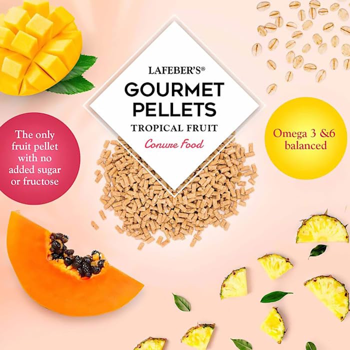 LAFEBERS Tropical Fruit Gourmet Pellets Pet Bird Food, No Added Sugar, Made with Non-GMO and Human-Grade Ingredients, for Conur