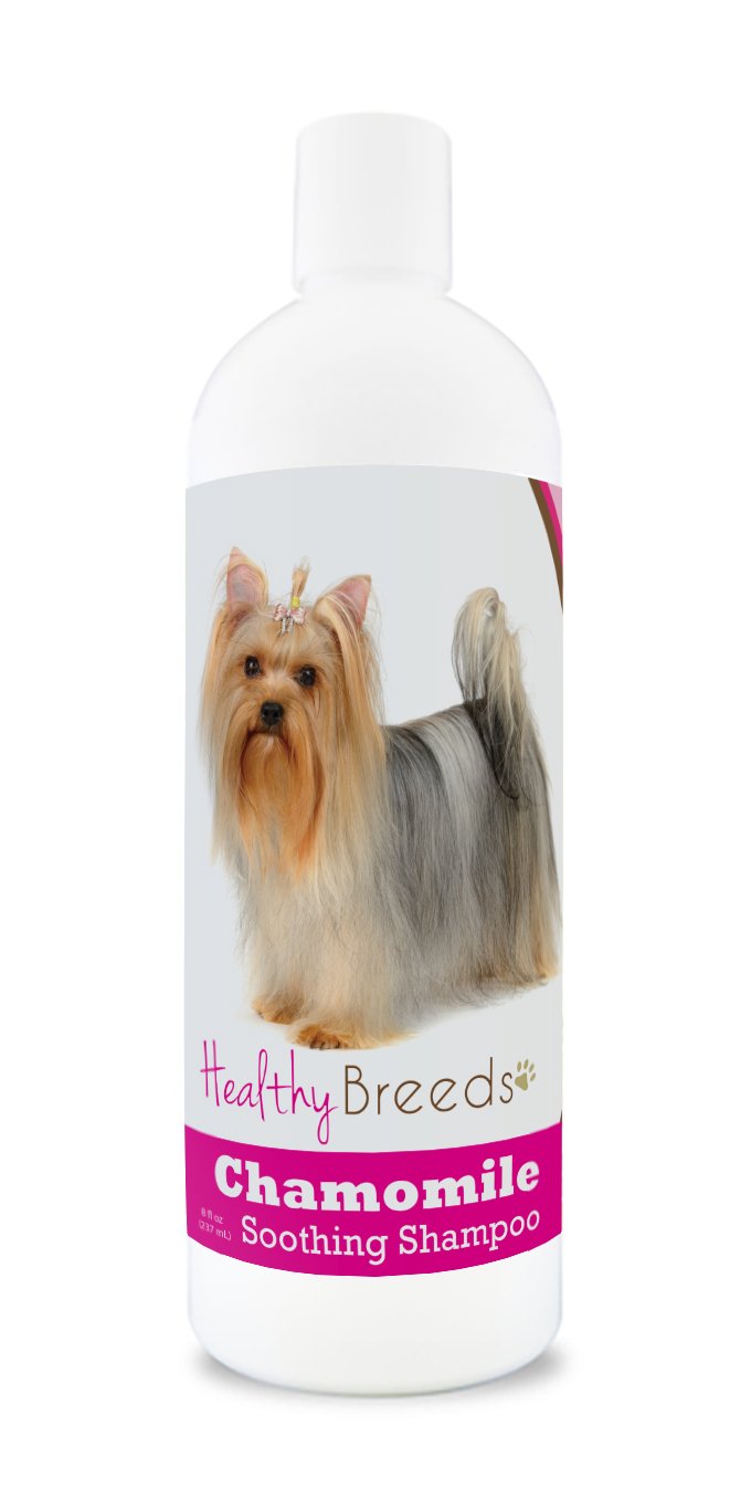 Healthy Breeds Yorkshire Terrier Chamomile Soothing Dog Shampoo 8 oz