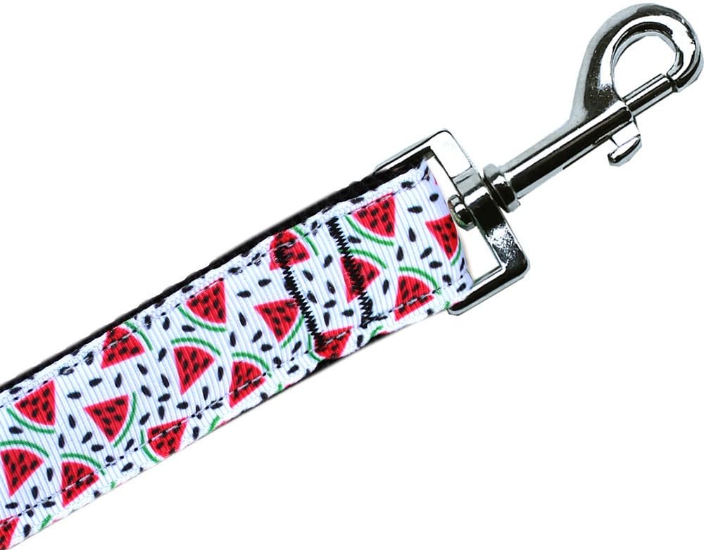 Pet Dog & Cat Nylon Collar or Leash, "Watermelon" 1" w x 6 ft. leash