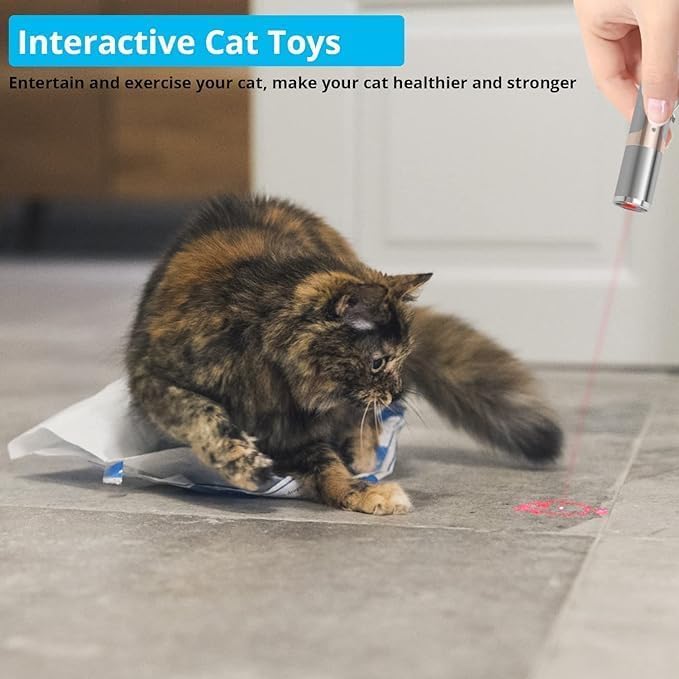 Lzonunl Cat Toy, 2 Pieces Usb Rechargeable, Long Range 5 Modes, Interactive Kitten Cat Mouse Toy For Indoor Cat And Dog Chase Pl