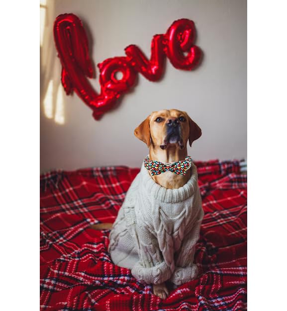 Unique Style Paws Valentine'S Dog Collar With Bow Colorful Heart Love Dog Collars For Small Medium Large Dog