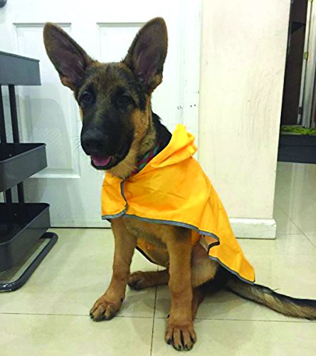 RC Pet Products Packable Dog Rain Poncho, Large, Polyester, Sunshine, Model PE-58805006