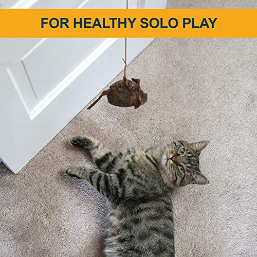 Our Pets Play-N-Squeak Batting Practice Interactive Cat Toy (Cat Toys For Stimulating Play With Real Mouse Sound, Catnip Toys To