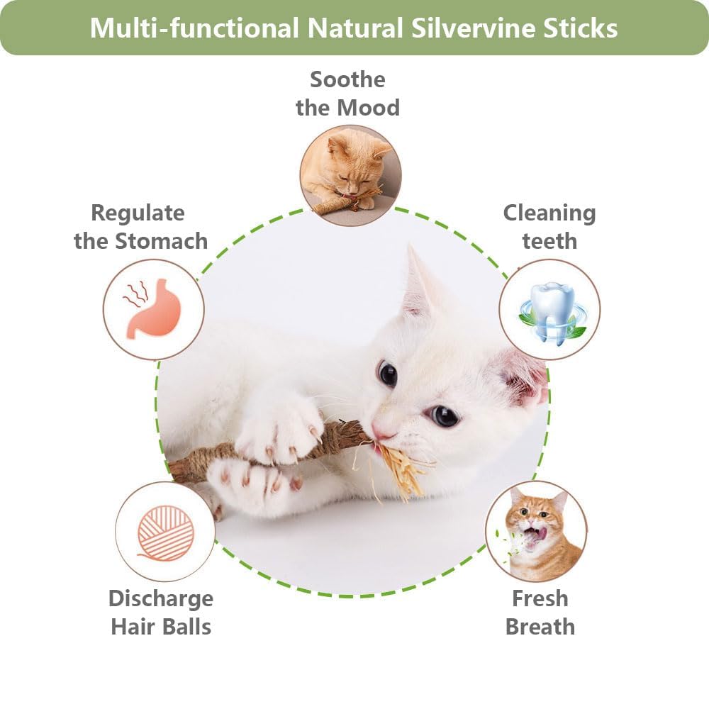 Relonggi 3 Pcs Silvervine Sticks For Cats - Natural Cat Chew Toys For Teeth Cleaning, Kitten Teething & Aggressive Chewers
