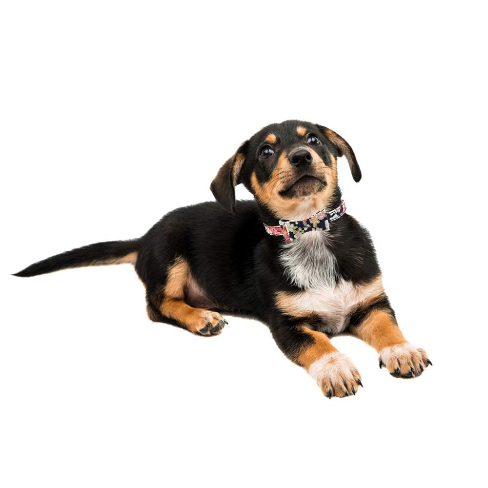 3Pcs Bow Tie Dog Collar And Leash Set Plaid/Camo/Dots/Flower Dog Bandanas With Bell 3 Size Adjustable For Small Dogs Puppies And Cats (S, Black Flower)