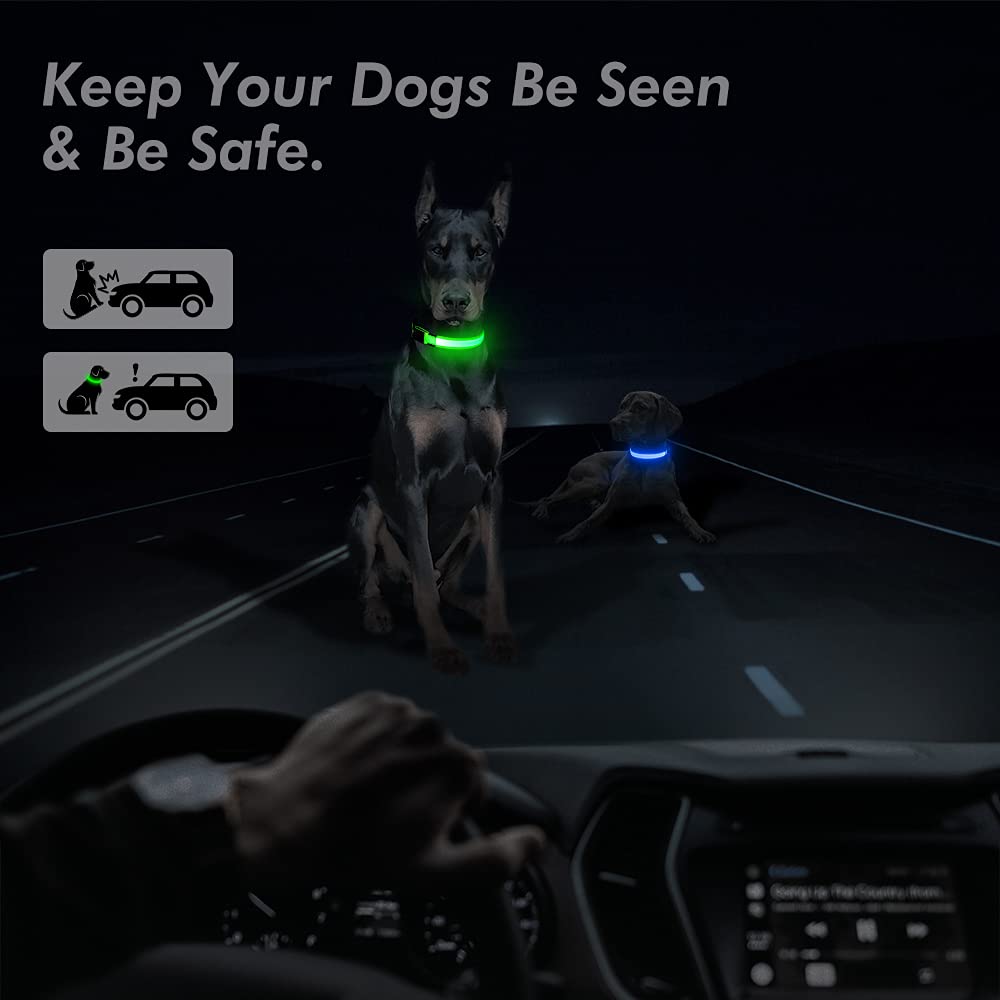 Bseen Reflective Led Dog Collar - Light Up Dog Collars For Safe Walking At Night - Super Bright Lighted Puppy Collar - Rechargeable For Dogs (Neon Green, X-Large)