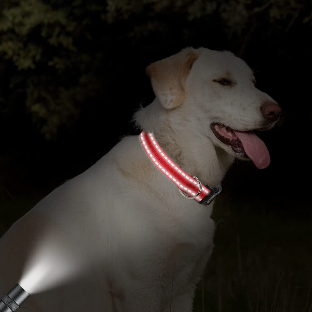 Taglory Reflective Adjustable Dog Collars For Puppy Small Medium Large Dogs, Thin Nylon Webbing And Quick Release Plastic Buckle(Red Medium)