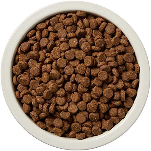Amazon Brand - Wag Dry Dog Food Beef & Sweet Potato, Grain Free 24 lb Bag