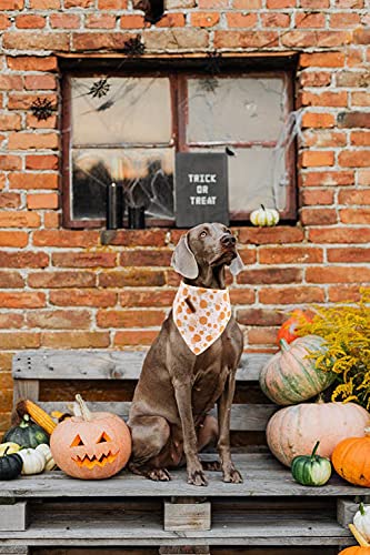 Lionheart Glory Dog Bandana 1 Pack Washable Soft Cotton Halloween Pumpkin Bibs Scarf, Adjustable Kerchief Square Dog Bandanas For Large Dogs