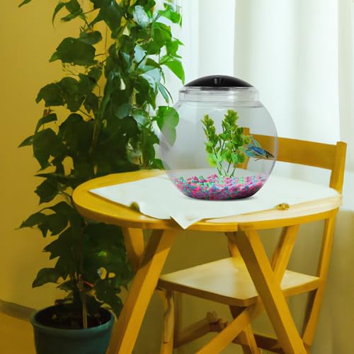 Koller Products 1-Gallon Globe Fish Bowl, Impact- Resistant Plastic Aquarium Starter Kits With Led Lighting, Buit-In Timer, Crystal-Clear Clarity, Desktop Fish Tank For Home Décor